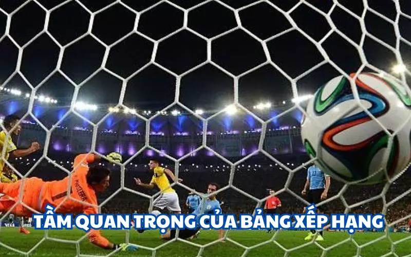 Tầm quan trọng của theo dõi xếp hạng
