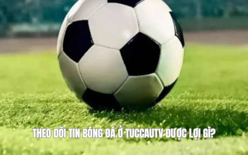 Theo dõi tin bóng đá ở tuccautv được lợi gì?