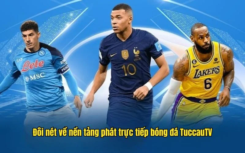 Đôi nét về nền tảng phát trực tiếp bóng đá TuccauTV